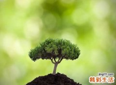 俏皮可人的幽默吃鸡名字，萌哒哒逗乐的吃鸡游戏名称