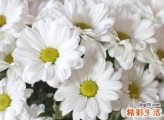 梦见老人去世，做梦梦到亲人去世是啥预兆