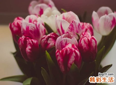 多情总被无情伤的伤感网名,2021抖音流行的悲伤昵称精选