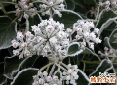 今年吸引人的抖音昵称，抖音上有个性但不做作的网名