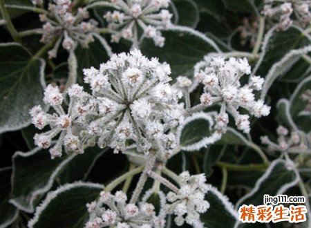 今年吸引人的抖音昵称，抖音上有个性但不做作的网名