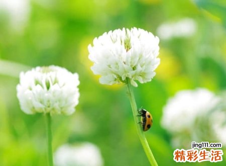 霸气又张扬的游戏名，战神叱咤疆场必备的游戏名字