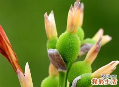 自由自在随性的英文名字，2021流行的欧美风个性网名