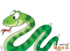 男人梦到蛇好不好，已婚男人梦见很多蛇