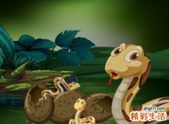 梦见两条细细的小蛇，做梦梦见小蛇是什么意思