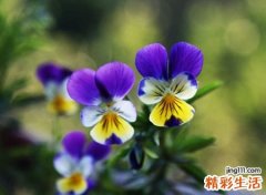 简单有格调的微信昵称，2021最热火的时尚网名