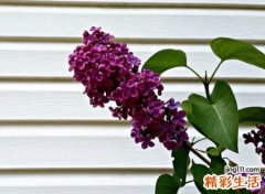 深刻有内涵的微信名字，很特别很精彩的时尚网名