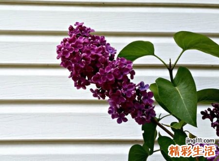 深刻有内涵的微信名字，很特别很精彩的时尚网名