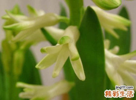 伤心特别丧的非主流颓废网名，寂寞无人理睬的伤感昵称