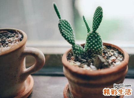 简单有内涵的成熟昵称，让人过目不忘的微信名字