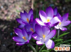 冷酷高大上的霸气网名，超拽有力量的个性昵称