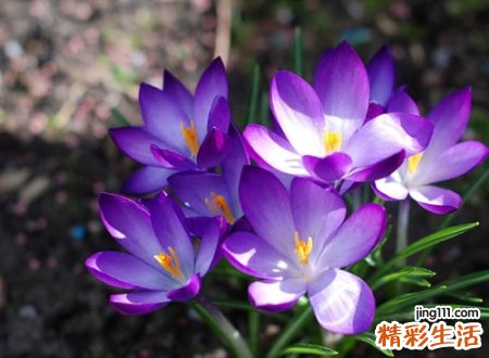 冷酷高大上的霸气网名，超拽有力量的个性昵称