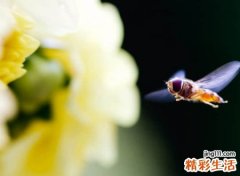 潮流有吸引力的抖音网名，网红专属的抖音热门昵称