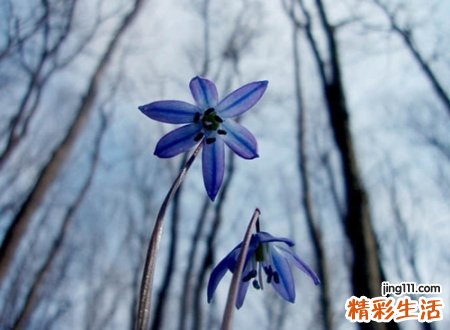 空叹人生的唯美感伤网名,微信有意境的内涵昵称