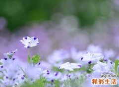 人设崩塌有些丧的经典网名，有些颓废的微信个性名字