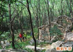 梦见和伙伴去爬山路很难走很困难