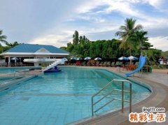 梦见在清澈透明的游泳池里惬意地游泳