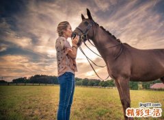 梦见在玫瑰园与分手很久的前女友再续前缘