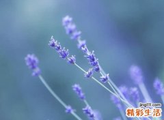 高冷有影响力的微信网名超吸引人