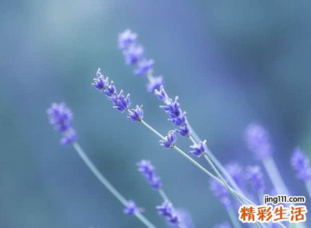 高冷有影响力的微信网名超吸引人