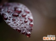 有些做作的王者荣耀名字略矫情