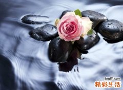 简单纯洁的单身狗必备微信网名