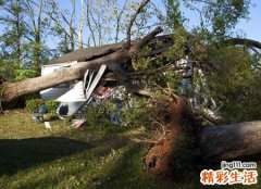 梦见房子被大雨淋的倒塌砸伤别人
