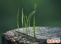 向着成功行进的年轻人励志网名