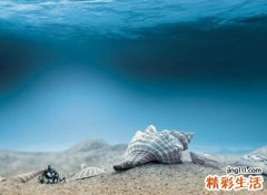 孤单心伤的微信网名伤感版