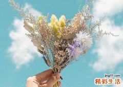 大气低调的简单微信名字