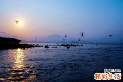 梦见自己在空中飞来飞去悠闲自在