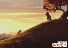 梦见自己飞不高很吃力但是能飞上天翱翔