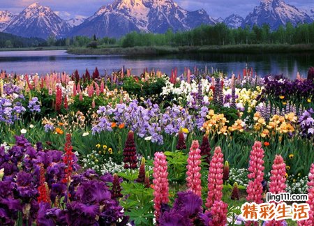 好听的两个字男生网名