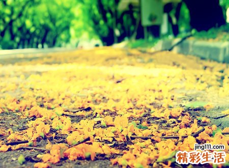 好听的男生快手网名