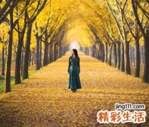 森系好听的女生qq网名