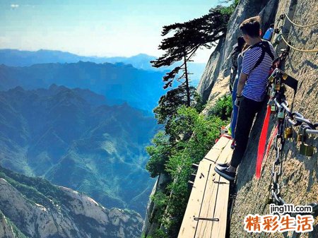 梦见在高处很害怕掉落不知所措