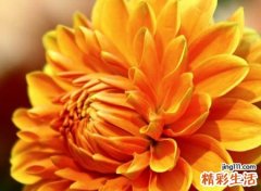 朴素简约不简单的微信名字，让网友过目不忘的简单网名