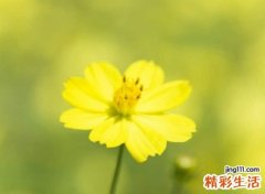 有哲理有深意的励志昵称，微信网名阳光正能量