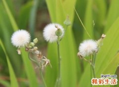 快手超好听的冷门名字，独一无二吸引人的快手网名
