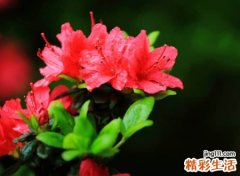 吸引异性的网名，新潮微信昵称春风暖人意