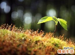 孤傲冷酷霸气的有格调网名，古风游戏名字一个人仗剑天涯