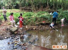 梦见别人在水库里用网兜捞鱼