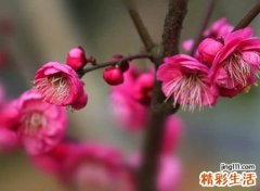 偏爱仙雾缭绕的韶华古风名字，唯美有仙境美感的诗意昵称