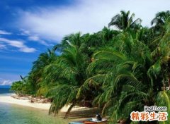 充满正能量的励志微信网名， 好心态的积极向上昵称