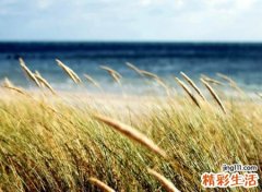 开心快乐又好听的网名，心情好暖心的阳光昵称