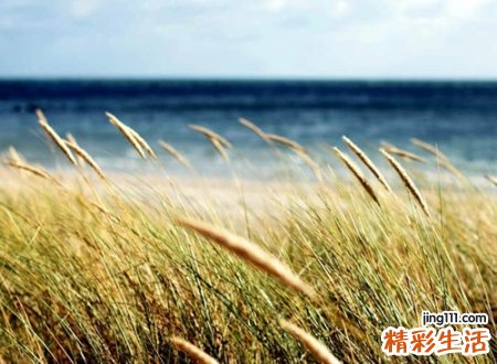 开心快乐又好听的网名，心情好暖心的阳光昵称