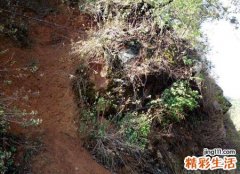 梦见路断了车过不去自己找吊车把车运过去