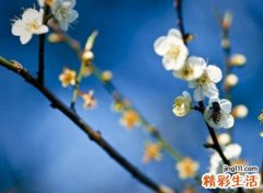 心里牵挂一个人放不下的网名，默默思念一个人的爱情昵称