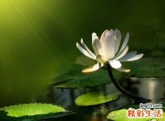 最特别的强悍qq昵称，好听的qq网名带符号