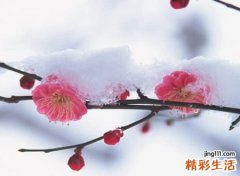 来瞧一瞧看一看最火的古风快手昵称，最撩人的快手文艺网名